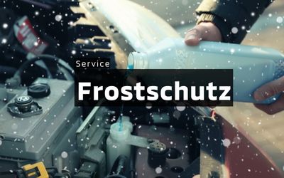 Frostschutz im Winter, Service-Themen
