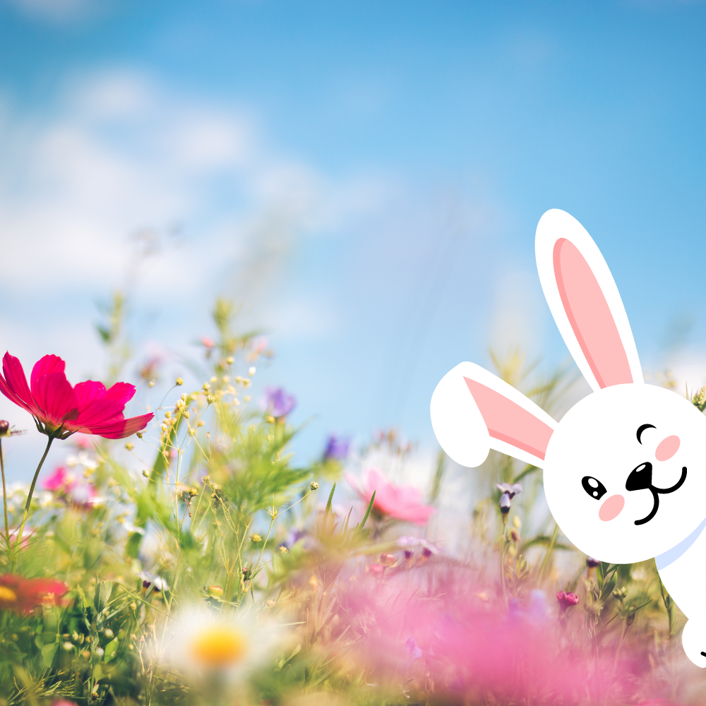 Verkaufsoffene Sonntage